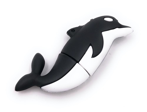 Delfin poisson océan - poisson, animal
