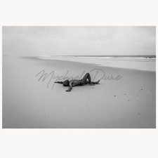 Photo Nu artistique Nu