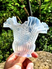 Tulipe Opalescente bleu