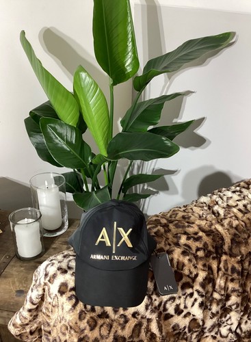 Casquette armani exchange - casquette,