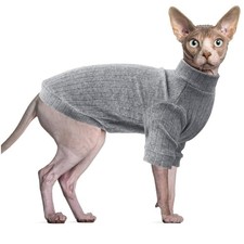 Vêtements pour chat sphynx - pour,