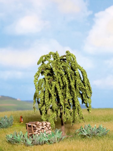 Noch 21770 saule pleureur - pleureur, cm