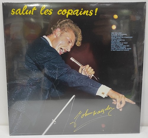 Johnny hallyday vinyle - johnny,