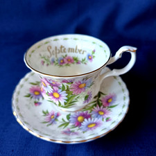 TASSE ET SA SOUS TASSE SEPTEMBRE ROYAL ALBERT COSMOS