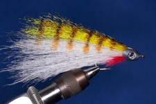 Fliegentom Fishskull Streamer pour le brochet et les poissons prédateurs - Tiger