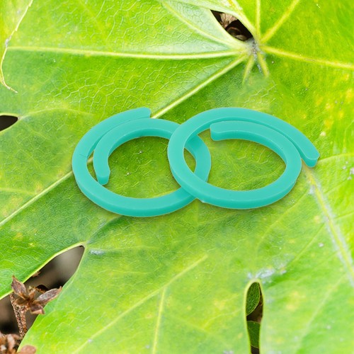Clips support plante - clips,
