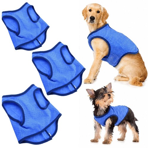 Gilet été chien - gilet,
