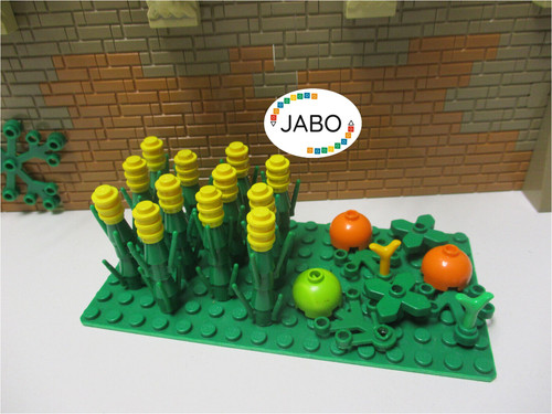 Lego maïs citrouille - /,