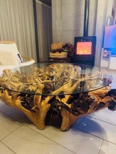 Table basse en Souche D’if Centenaire