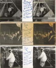PH191 -7 VUES STEREOS PAQUEBOT