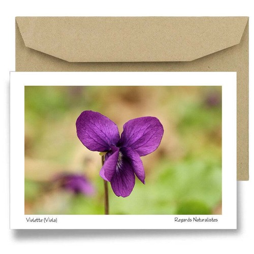 Carte postale papier aquarelle