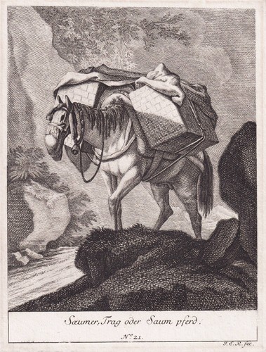 Gravure cheval cuivre - gravure,