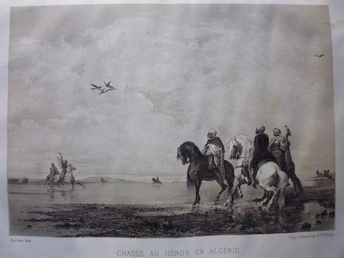 Engraving heron hunting - engraving:,