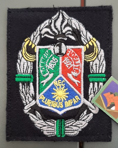 Patch rec carpiagne - rec,