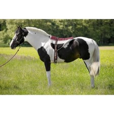 Tapis de monte à cru NORTON - Couleur : marron/beige, selle cheval