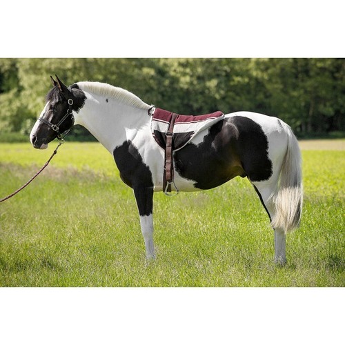 Tapis monte cru - de,