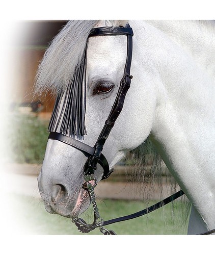 Bridon espagnol cuir avec - espagnol,