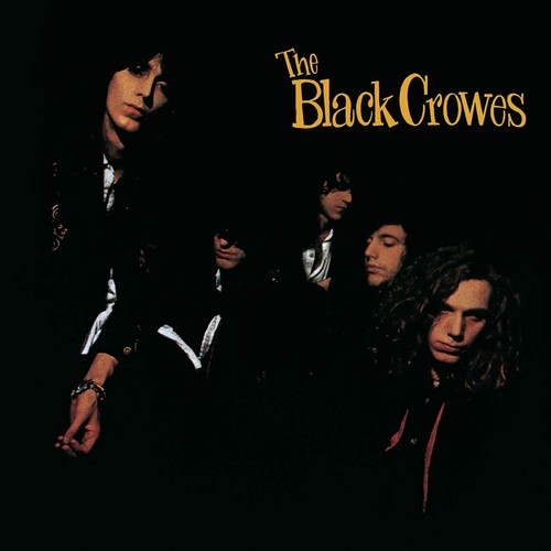 Black crowes shake your - black,