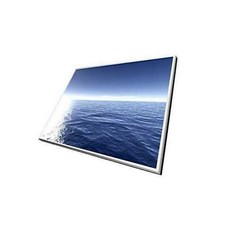 ECRAN HP TC1100 10.1" TFT XGA Display 348348-001 06-09