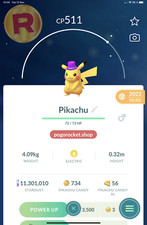 Pikachu Purple Hat Costume