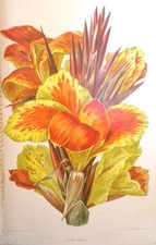 REVUE HORTICOLE 1896 avec 24