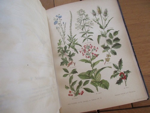 Leclerc sablon nos fleurs - leclerc,