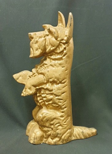 Chien scottish terrier - terrier, profil