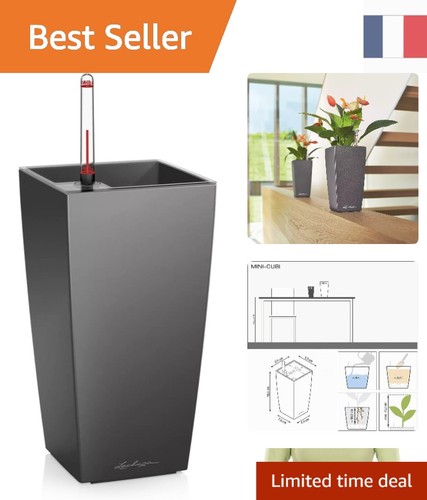 Lechuza mini cubi - lechuza,