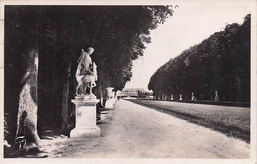 Versailles tapis vert - 78,
