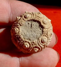 OURSIN FOSSILE JURASSIQUE DE