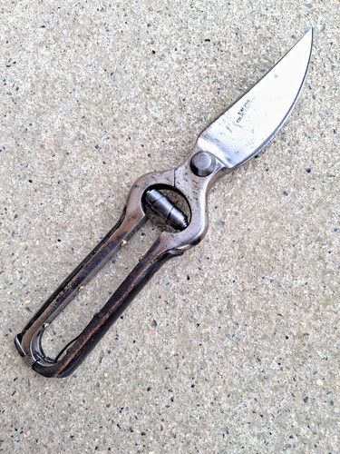 Ancien secateur manches - secateur,