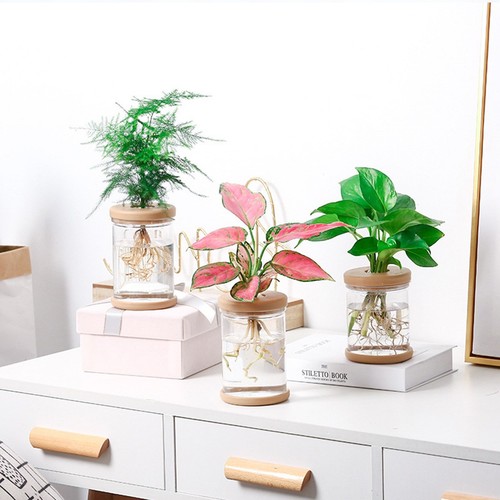 2pcs plastique transparent - plastique,