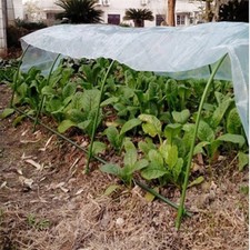 For jardin plante - for,