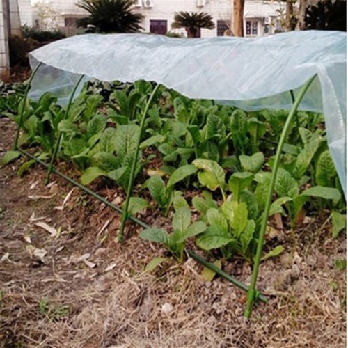 For jardin plante poly - for,