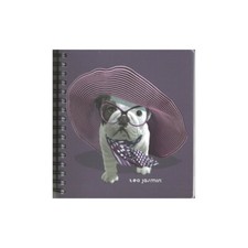 Téo Jasmin - Carnet à