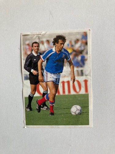 Image poulain platini année - image,