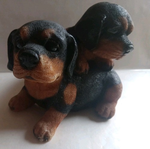 Rottweiler puppies preowned - rottweiler,