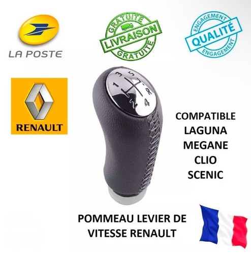 Pommeau vitesse renault 5 - pommeau, de