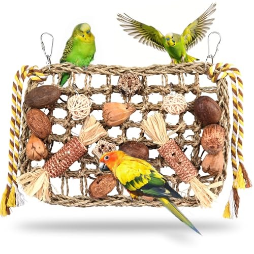 Jouets pour oiseaux jouet - pour, oiseaux,