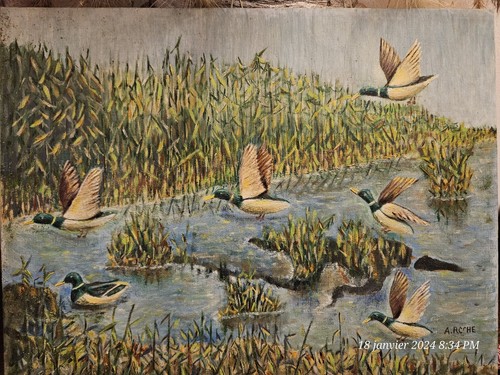 Ancienne tableau canards - ,,