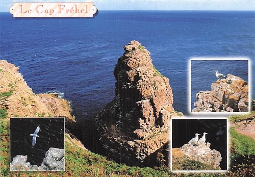 Plevenon cap frehel - 22,