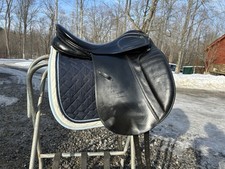 Stubben Scandica Dressage