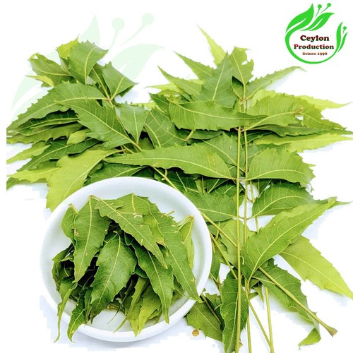 Neem déshydraté feuilles