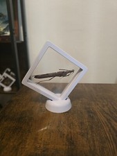 Insecte Phasme encadré Flottant cabinet de curiosité, Entomologie 