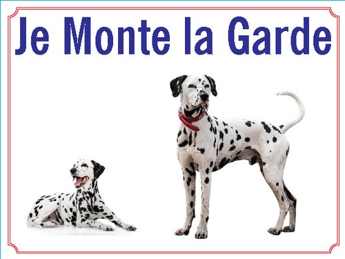 Attention chien je - je, monte