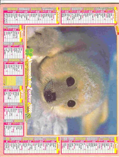Calendrier bebe phoque - calendrier,