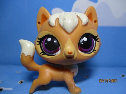 Petshop chat sphynx kitery - ",