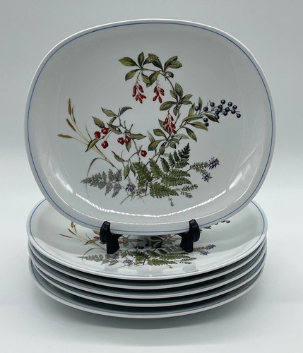 Assiette plate porcelaine - plate,