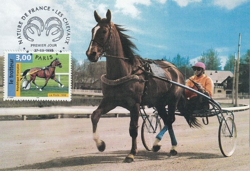 Carte 1er jour - , nature