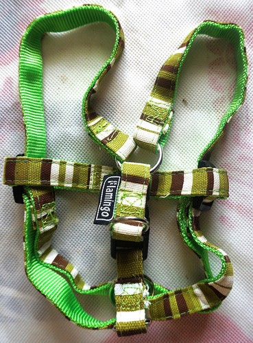 Harnais taille avec sangle - taille,